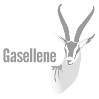 gaselle-logo